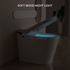 Lordear Smart Bidet Toilet - Auto Flush & Heated Seat - Water-Saving Tankless Design from Lordear
