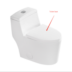 Toilet Seat Replacement