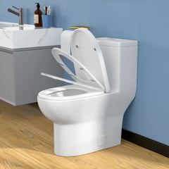 Lordear White Ceramic Elongated Floor One Piece Bidet Toilet