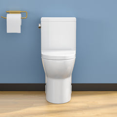Lordear White Ceramic Elongated Floor One Piece Bidet Toilet