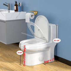 Lordear White Ceramic Water Saving One Piece Toilet with Comfort Wider Chair Seat