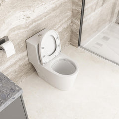 Lordear White Ceramic One Piece Floor Bidet Toilet with Comfort Wider Chair Seat  from Lordear