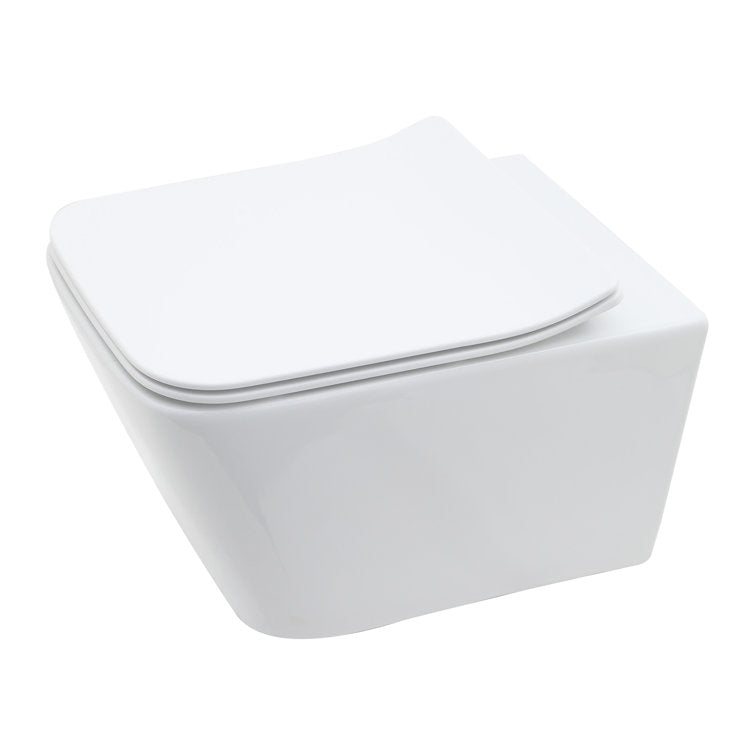 In-Wall Toilet Combo Set and Carrier System Wall Mounted Toilet with Soft Closing Seat  Glossy White(Excluding water tank)  from Lordear