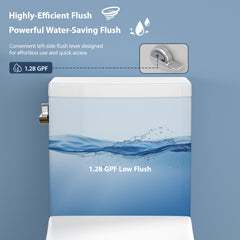 Lordear White Ceramic Elongated Floor One Piece Bidet Toilet