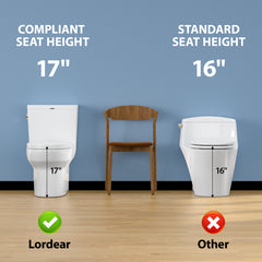 Lordear White Ceramic Floor Mounted Push Button One Piece Elongated Bidet Toilet with Comfort Soft Seat