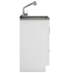 24-inch All-in-One Laundry Utility Sink & Cabinet in Pure White with Faucet from Lordear