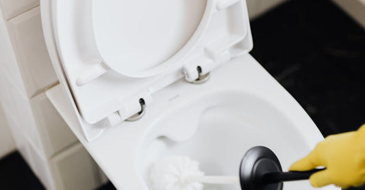 Ways to Dispose of Your Old Bathroom Toilet