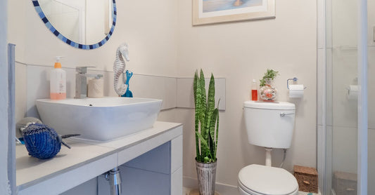 The Pros and Cons of Installing a Low-Flow Toilet in the Bathroom