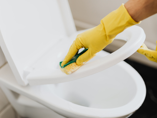 Common Toilet Problems and How to Fix Them