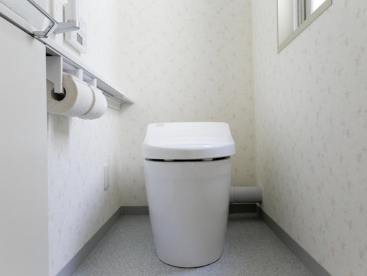 Why Smart Toilets Are So Popular