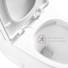 H-MTLC-80