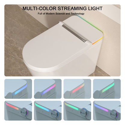 Smart Bidet Toilet with Auto-open/close Lid  Auto Flush Smart Toilet with Warm Water Washing  Heated Bidet Seat Adjustable Dryer Toilet with Bidet and LED Display  from Lordear