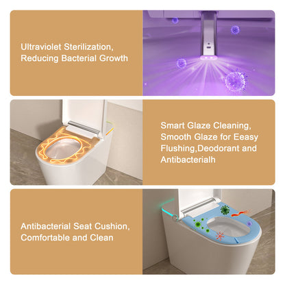 Smart Bidet Toilet with Auto-open/close Lid  Auto Flush Smart Toilet with Warm Water Washing  Heated Bidet Seat Adjustable Dryer Toilet with Bidet and LED Display  from Lordear