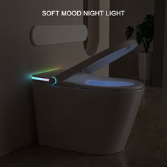 Lordear Smart Bidet Toilet – Auto Flush Heated Seat Night Light – Easy Install One-Piece  from Lordear