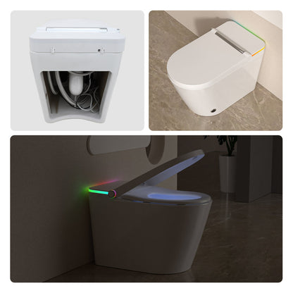 Smart Bidet Toilet with Auto-open/close Lid  Auto Flush Smart Toilet with Warm Water Washing  Heated Bidet Seat Adjustable Dryer Toilet with Bidet and LED Display  from Lordear