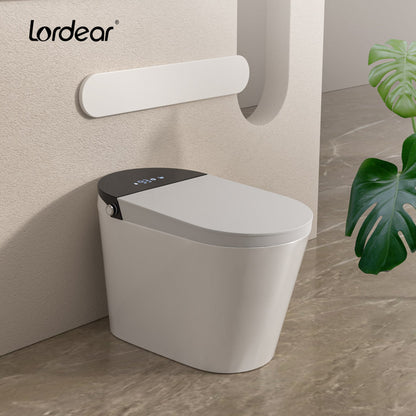 1.28 GPF Smart Bidet Toilet Single Flush Elongated Toilet Bidet Warm Water Clean Auto Flushing Bidet  from Lordear