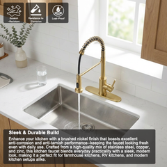 Lordear Pull-down gold faucet