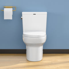 Lordear White Ceramic Floor Mounted Push Button One Piece Elongated Bidet Toilet with Comfort Soft Seat