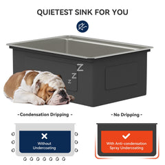 Lordear 25'' Stainless Steel Undermount Workstation Kitchen Sink