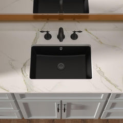 Lordear 18x12 Inch Undermount Bathroom Sink