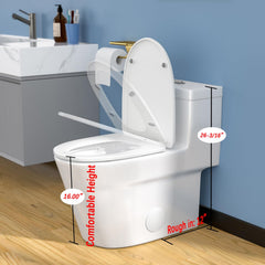 Lordear Rectangular White Ceramic One Piece Toilet with Soft-Close Seat