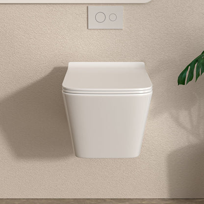 In-Wall Toilet Combo Set and Carrier System, Wall Mounted Toilet with Soft Closing Seat  Glossy White(Excluding water tank)  from Lordear