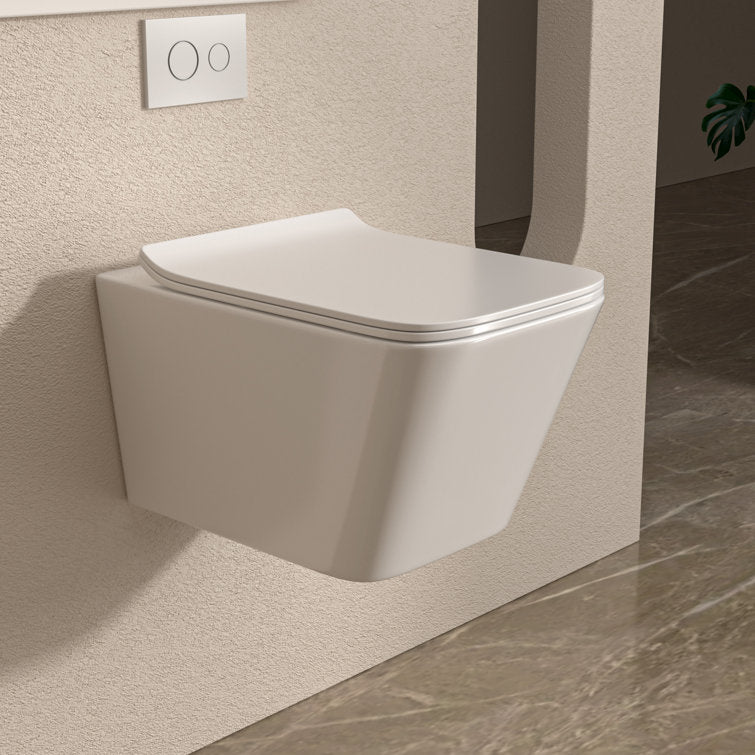 In-Wall Toilet Combo Set and Carrier System, Wall Mounted Toilet with Soft Closing Seat  Glossy White(Excluding water tank)  from Lordear