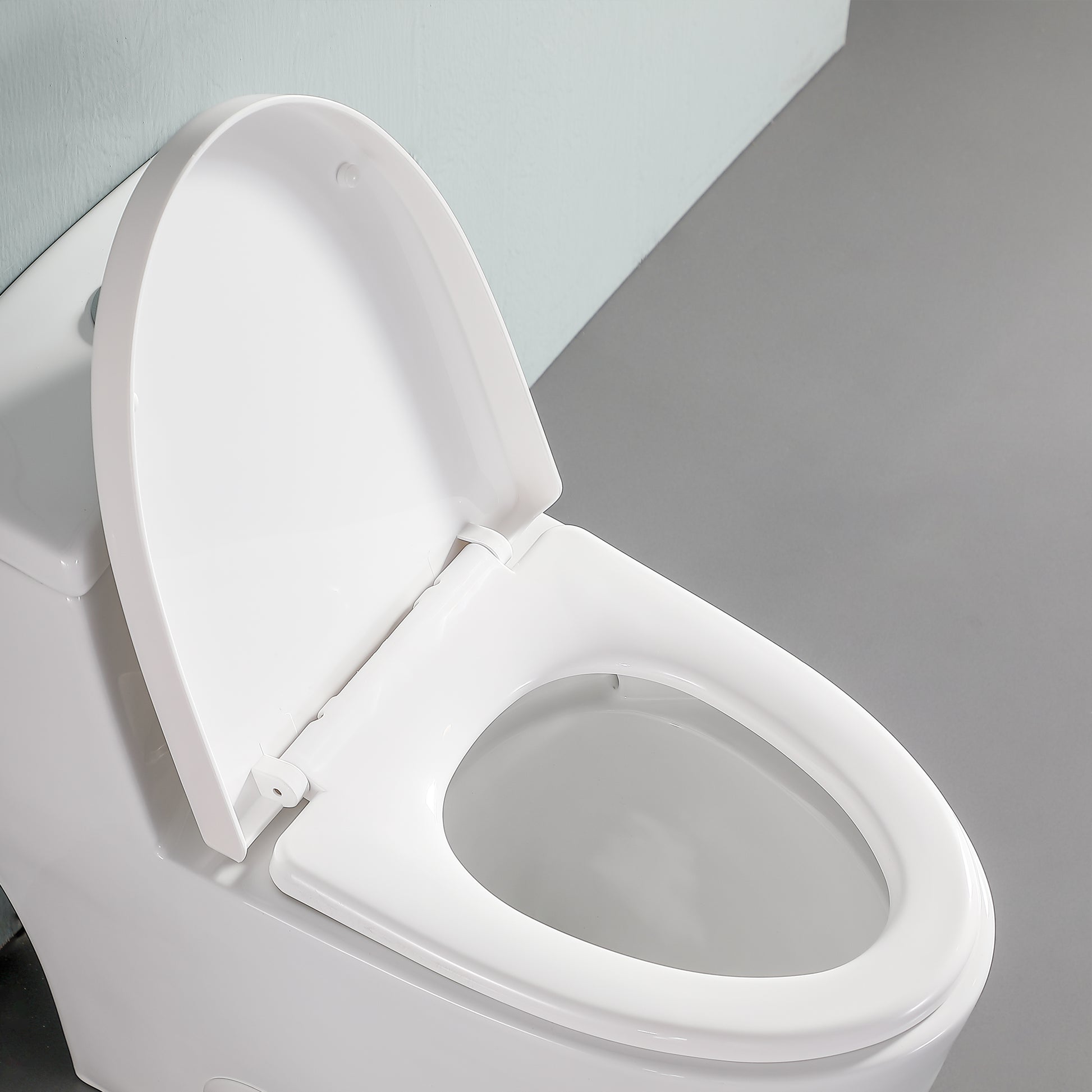 MT80-ST Toilet Seat, Replaceable  from Lordear