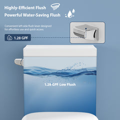 Lordear 1.6 Gallons GPF Elongated Comfort Height Floor Mounted One-Piece Toilet (Seat Included)