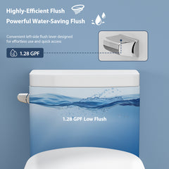 Lordear 1.1/1.6 GPF One Piece Toilet Dual Flush Elongated Toilet Floor Mounted (Seat Included)