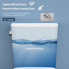 Lordear White Ceramic Elongated Floor One Piece Bidet Toilet with Comfortable Seat