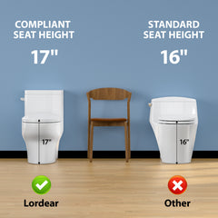 Lordear 1.1/1.6 GPF One Piece Toilet Dual Flush Elongated Toilet Floor Mounted (Seat Included)